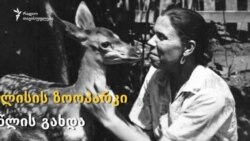 თბილისის ზოოპარკი 91 წლის გახდა