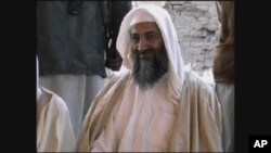 اسامه بن لادن رهبر شبکه القاعده که به تاریخ دوم ماه می سال ۲۰۱۱ در شهر ابیت آباد پاکستان کشته شد
