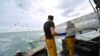 Neil Whitney newhaveni halász munka közben 2020. okóber 12-én