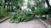 Последствия ливня в Севастополе: поваленные деревья, подтопленные дома, сползание грунта (+фото)
