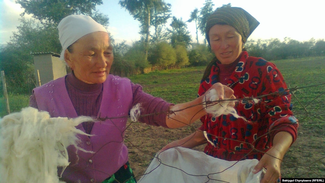 Таз тергеуші күдіктіні қиратады