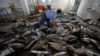 Поймать все живое. Как рыболовецкий флот Китая уничтожает мировой океан (ВИДЕО)