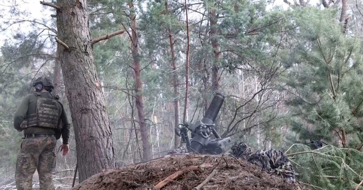 Генштаб України підтвердив звільнення лісового масиву на Харківщині