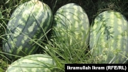 هندواڼې  د جلال آباد 