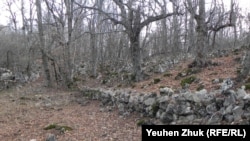 Залишки давніх стін у лісі в Байдарській долині під Севастополем