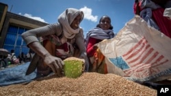 Жени в Етиопия гребат от чувал с жито, раздавано като хуманитарна помощ. Снимката е илюстративна.