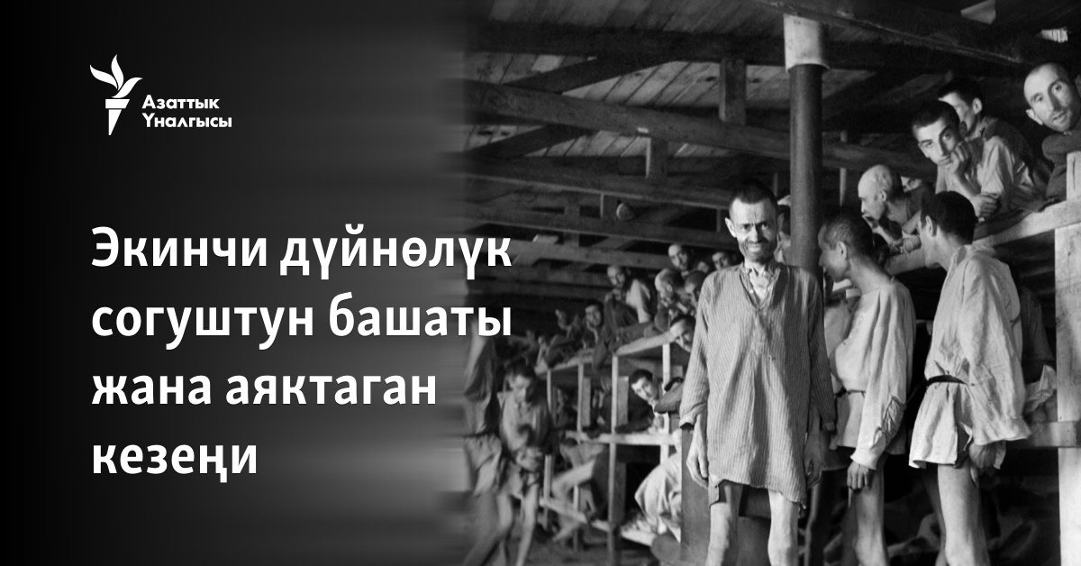 Порно кішкентай қатыгез