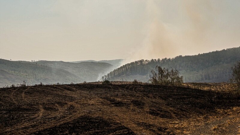 Власти Башкортостана предупредили жителей о чрезвычайной пожарной опасности из-за жары