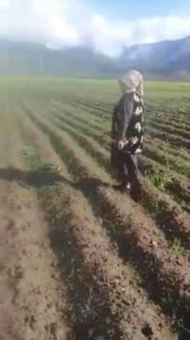 "Кишти пиёзро вайрон карда, дастур доданд, ки картошка корам"