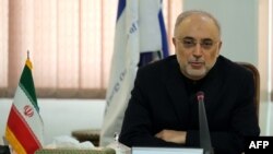 Head of Iran's nuclear program, Ali Akbar Salehi 