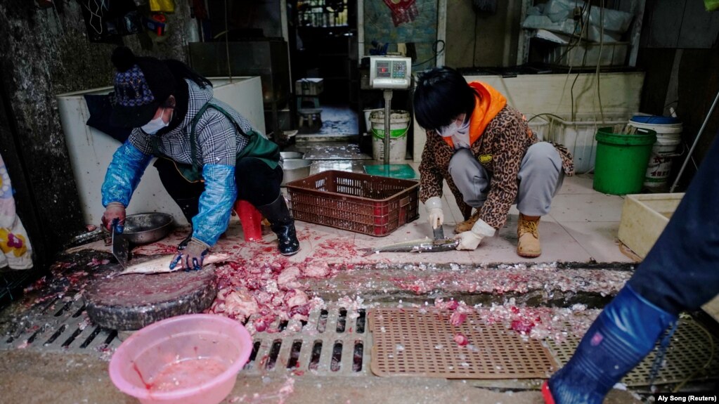 بازار ووهان چین. سازمان بهداشت جهانی می‌گوید به احتمال زیاد شیوع کرونا منشأ حیوانی داشته است