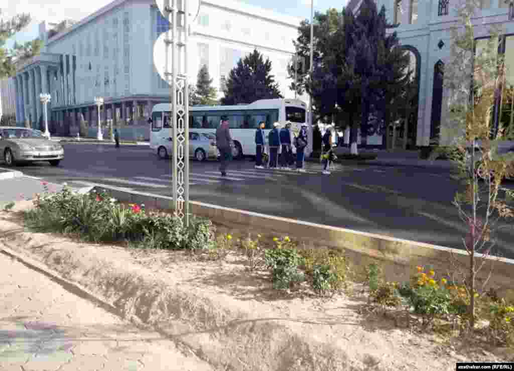 Türkmenistan halkara guramalary tarapyndan mejbury zähmeti ulanmakda tankytlanýar.