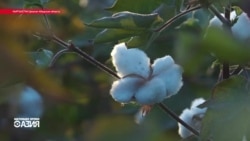 Настоящее Время. Азия – 4 октября