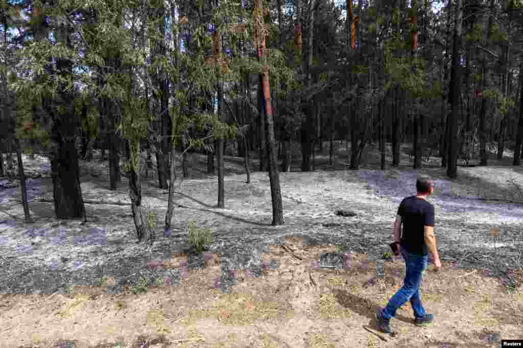 U gašenju požara u Srbiji angažovani su svi raspoloživi kapaciteti, a najteže je i dalje u Deliblatskoj peščari gdje je izgorilo preko 3.500 hektara šume.