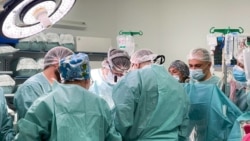 Трансплантација на органи – живот на чекање