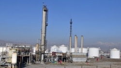 “Кыргызнефтегаз” боюнча иш козголду, Тай-Мурас Ташиев үн катты