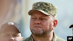 Президент Зеленський відправив Валерія Залужного у відставку з посади головнокомандувача ЗСУ 8 лютого
