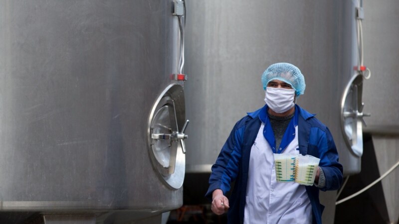 Производство молочной продукции на заводе «Юг Молоко» в селе Раздольное | Крымское фото дня 