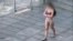 Videos emerged on social media on November 2 showing a young woman stripped to her underwear and walking around outside a university in Tehran.