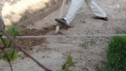 د اوبو کمښت د اندخوی کرنیزې ځمکې په شاړو بدلوي