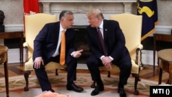 Președintele american de atunci, Donald Trump (dreapta), și Viktor Orbán au avut o întâlnire la Casa Albă în mai 2019.