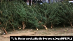 Кожне самовільно зрубане чи зламане дерево передбачає штраф