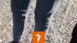 سرگردانی و غارت پناهجویان در مرز ترکیه و یونان