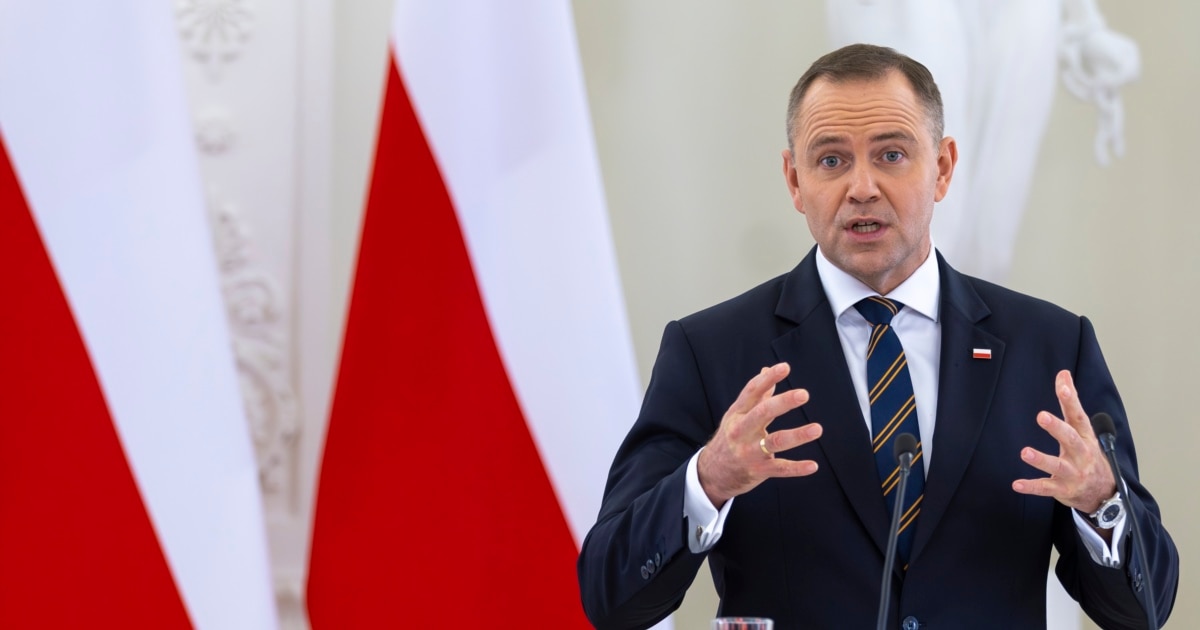 პოლონეთის პრეზიდენტმა კაროლ ნავროცკიმ მოიწონა ქვეყნის ტერიტორიაზე ნატოს ჯარების განლაგება