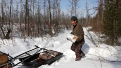 Житель эвенкийской деревни Чинонга грузит дрова, Россия, 2021 год