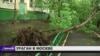 Последствия урагана в Москве