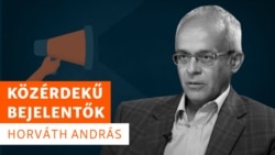 A társadalomra káros ügyeket feltáró közérdekű bejelentőkkel készült interjú sorozatunk első részében a "zöld dossziéjáról" ismertté lett Horváth András, a NAV korábbi munkatársa volt a vendégünk