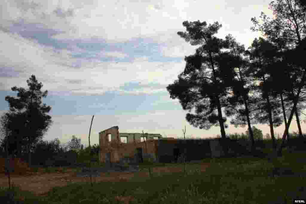 Sürgündə yaşayanlar #19