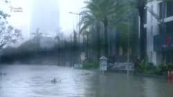 Florida sakinləri Tanrıya şükür edir