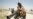 Scores Killed In Iraq Clashes