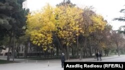 Фото Радио Азадлыг