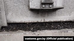 Кантрабандная партыя семак сланечніка, выяўленая гомельскімі мытнікамі