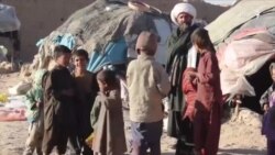 د افغانستان د جنوب زرګونه بېځایه شوې کورنې مرستې غواړي