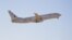 A U.S. Navy Poseidon P-8 (file photo)