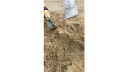 Волонтеры на очистке пляжа от нефтепродуктов.mp4