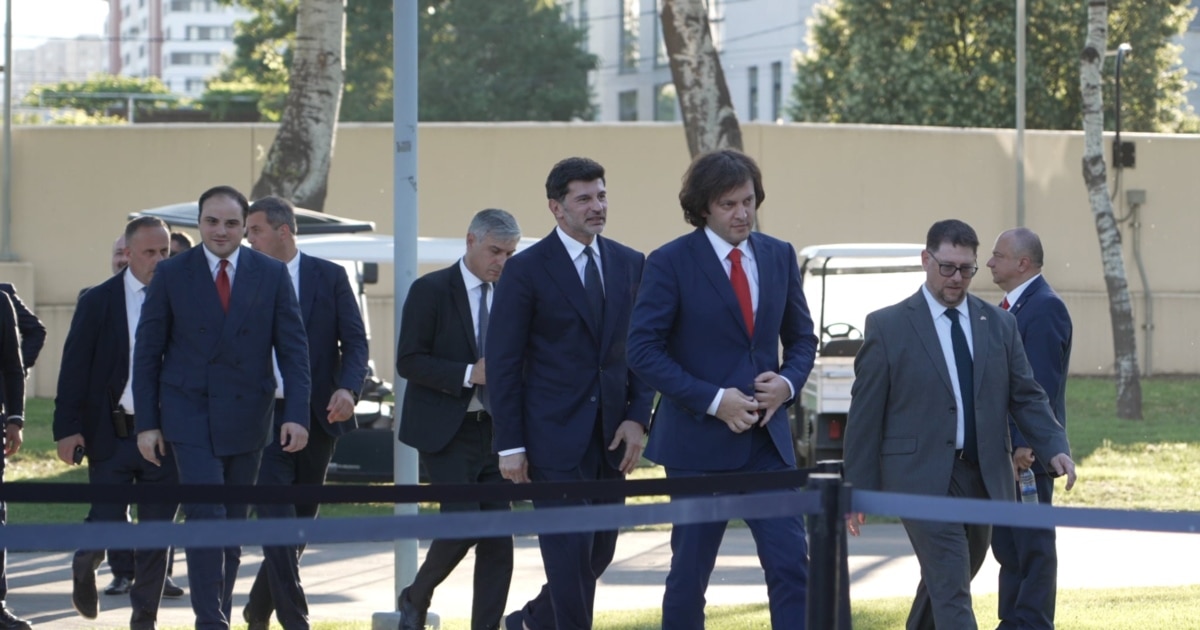 ასბოლუტურად გაუგებარია, თუმცა მათი საქმეა - კობახიძე აშშ-ის საელჩოს მხრიდან კრიტიკაზე