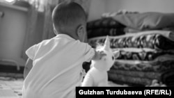 Иллюстрациялык сүрөт