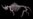 Siberia Surrenders Woolly Rhino Mysteries
