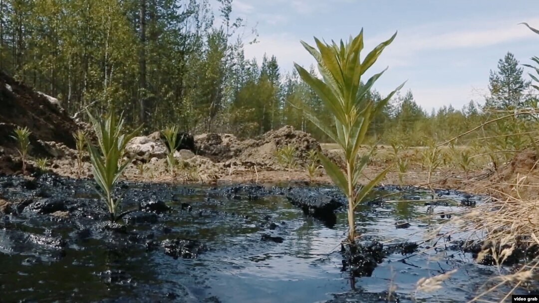 Разлив нефти в Коми (архивное фото)