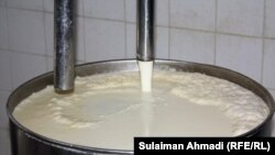 آرشیف، عکس جنبه تزئینی دارد.