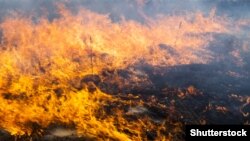 Підпал сухої трави є однією з причин, які призводять до лісових пожеж