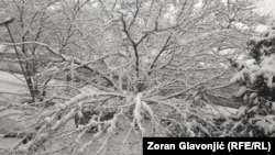 Zima u Srbiji, 8. januar 2026. 