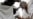 Middle East: Hajj Pilgrims Perform Final Rituals, Begin Eid Al-Adha Celebration