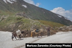 Vend pranë Majës së Trekufirit, pikës ku kryqëzohen kufijtë e Kosovës, Shqipërisë dhe Malit të Zi.
