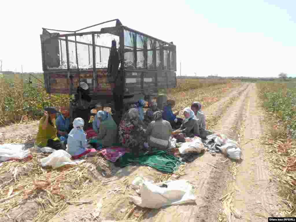 Мигранты из Узбекистана во время обеденного перерыва.