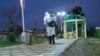 Поккорӣ дар яке аз боғҳои шаҳри Хуҷанд